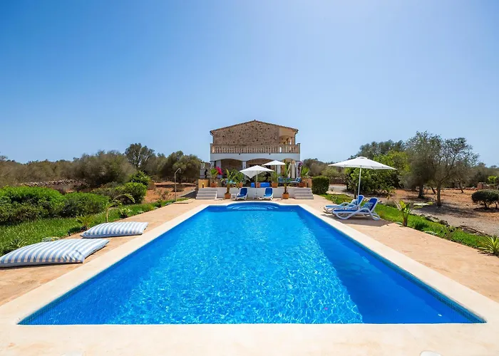 Oasis Del Sol